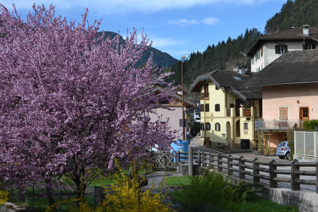 B&B La Tana Dell'Orso - Die Baerenhoehle Castello-Molina di Fiemme Extérieur photo